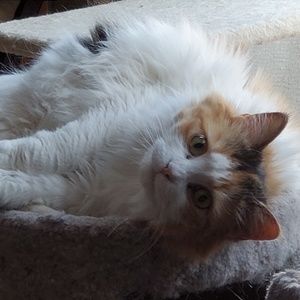 Meet your Posher, Pamela